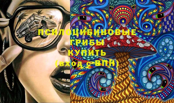 прущие грибы Алзамай