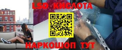 гашик Дубна
