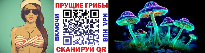 Псилоцибиновые грибы прущие грибы  kraken зеркало  Чусовой  купить наркотики сайты 