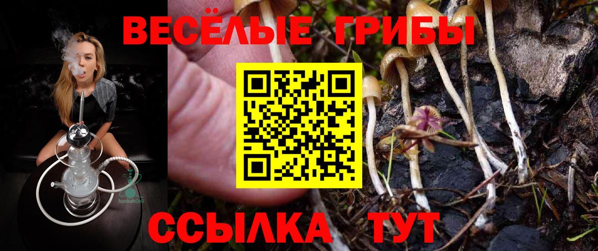 Галлюциногенные грибы Psilocybe Чусовой
